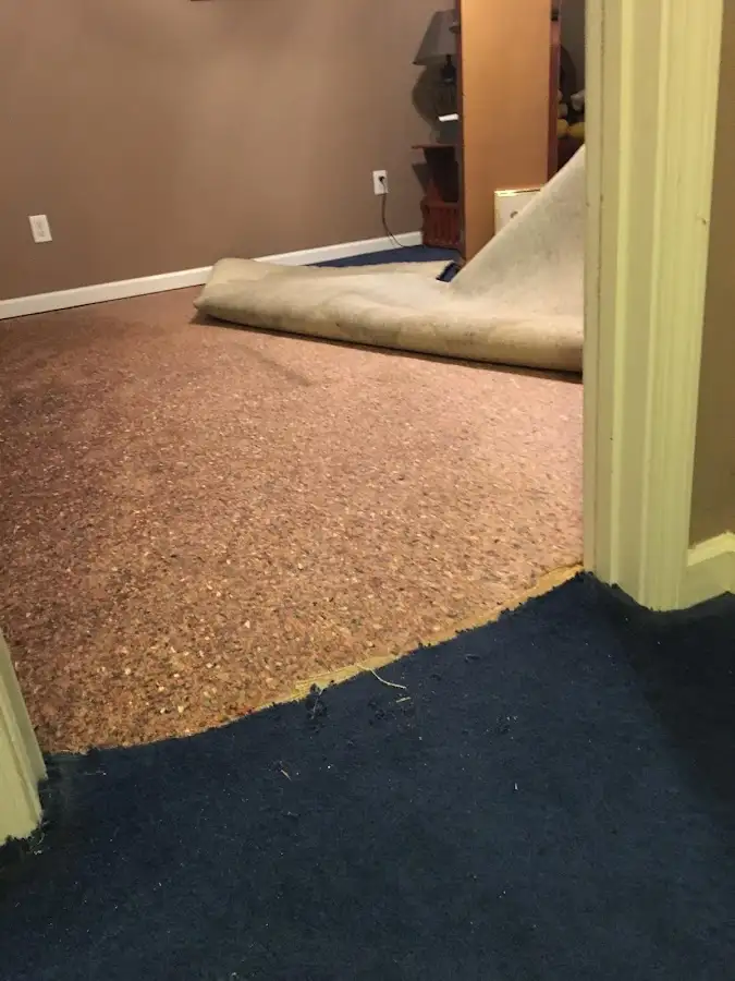 Carpet pad removal revealing water damage during Water Mitigation Services in Blooming Grove