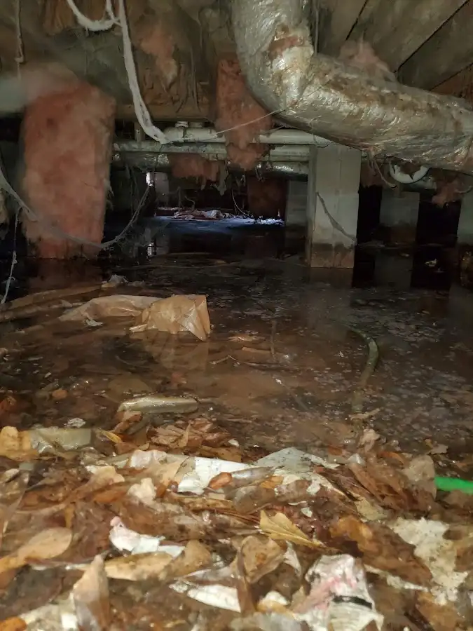 Crawl space flood assessment for Commercial Water Damage Restoration in Blooming Grove