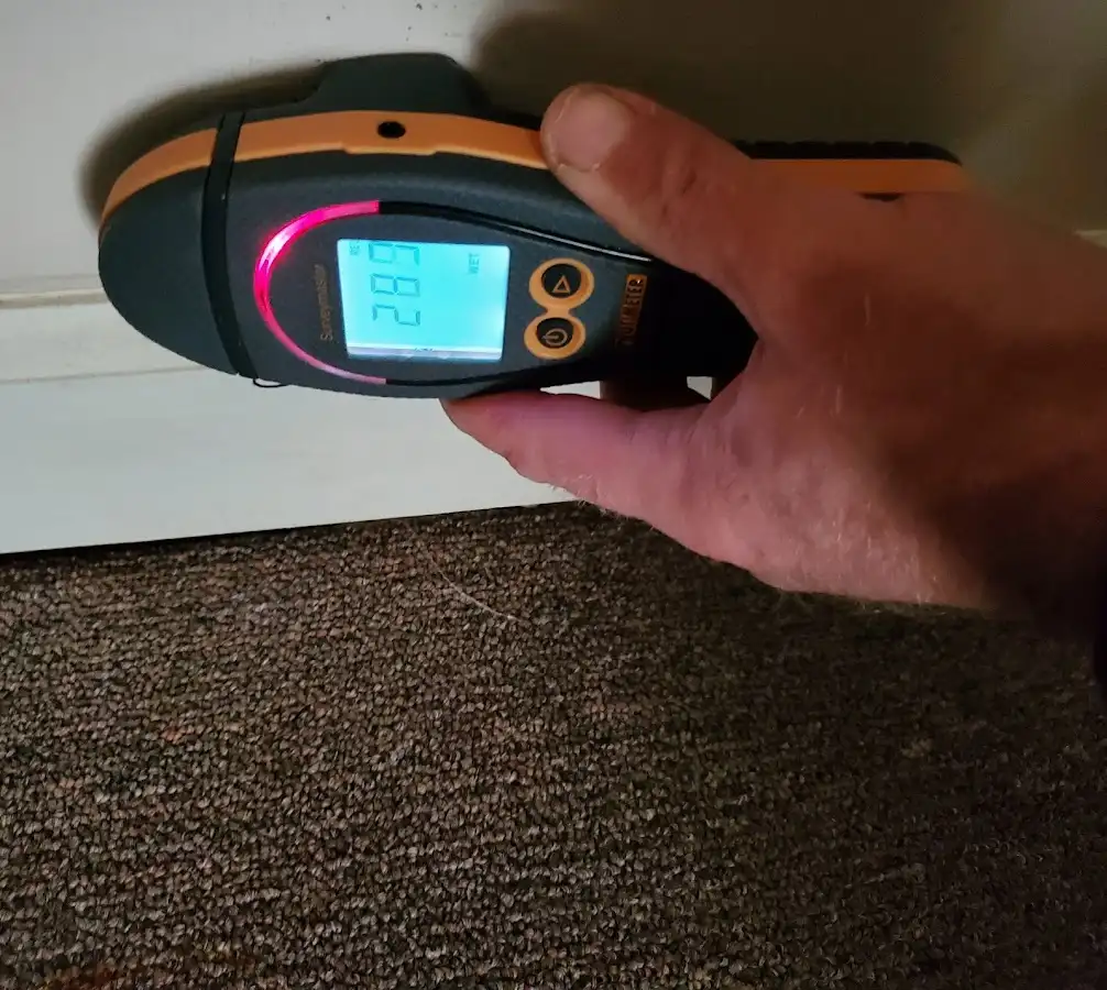 Moisture detection at baseboard during Sewage Cleanup & Sanitation in Blooming Grove